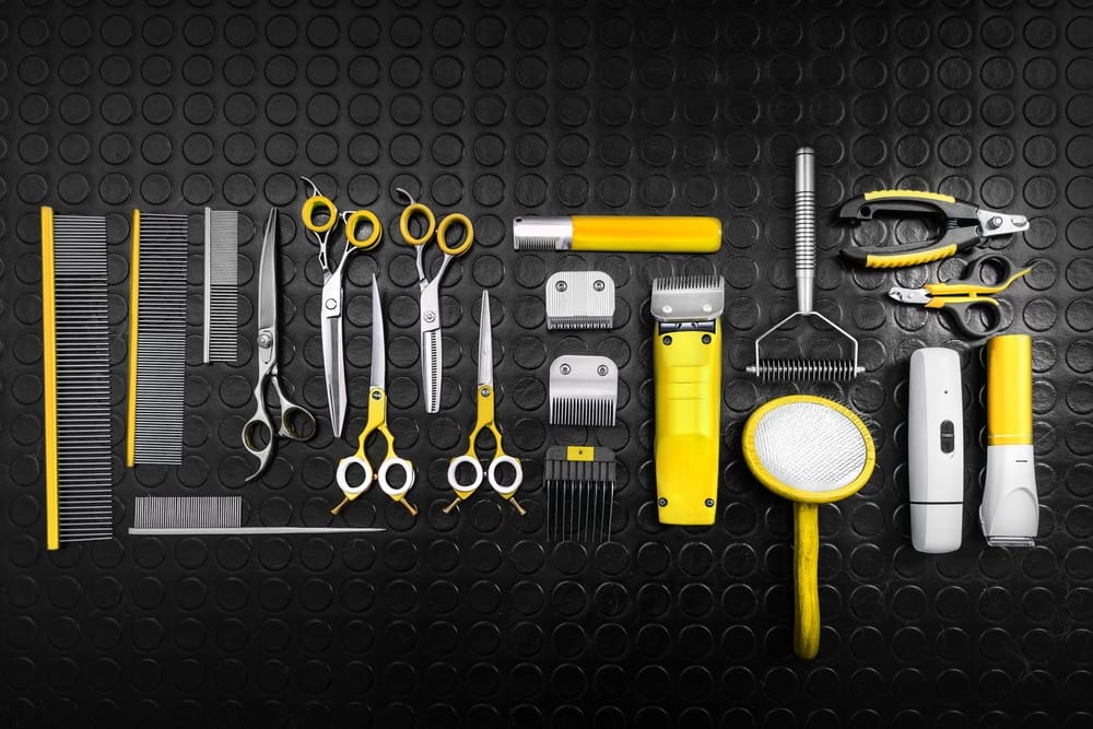 10 Essential Tools Every Dog Grooming Van Should Have.