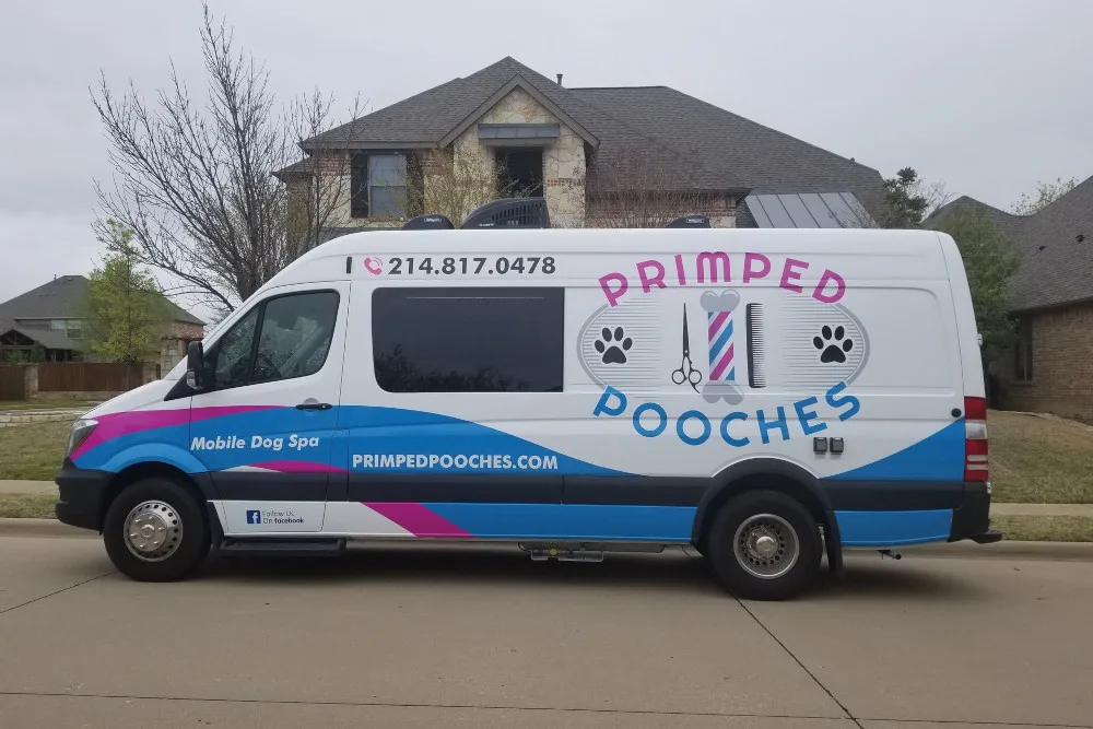 How Much is a Mobile Dog Groomer: Affordable Pet Care