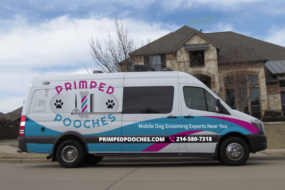 Unveiling the Top 10 Benefits of Mobile Dog Grooming for Dog Owners.