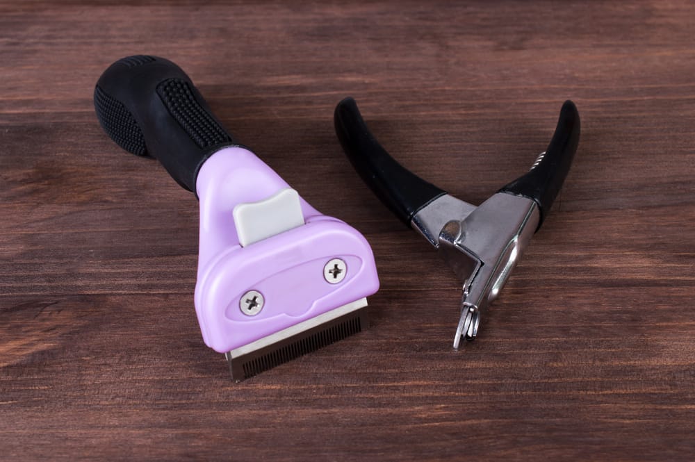 3 Tips for Grooming Your Dog at Home.
