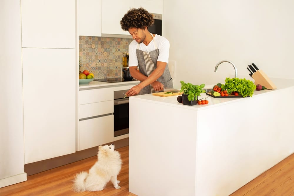 What Vegetables Are Good For Your Dogs Coat.