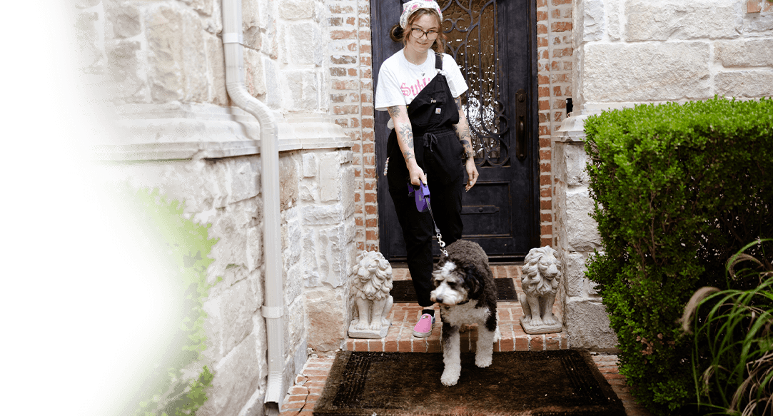 About Best Mobile Dog Groomers.