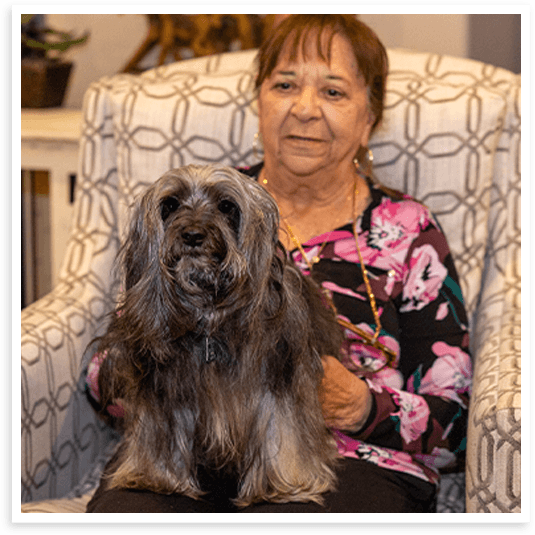 Treatment to remove matted dog hair in North Texas.