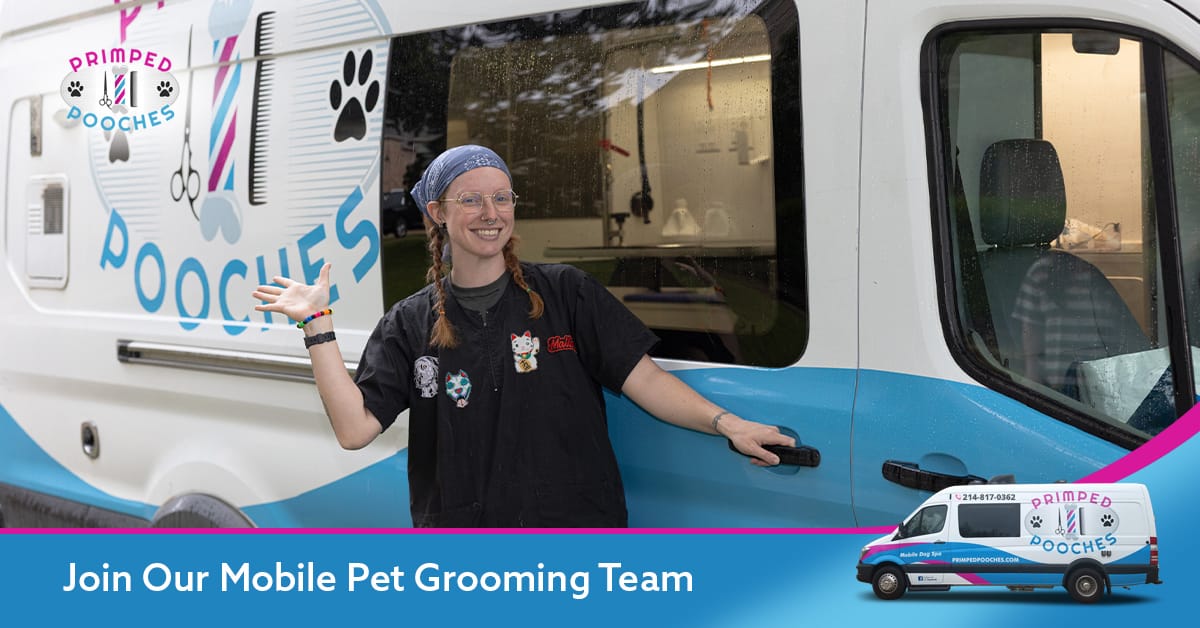 Pet groomer working for Primped Pooches Mobile Dog Spa.
