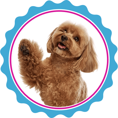 Mobile dog nail trimming service in Dallas-Fort Worth.