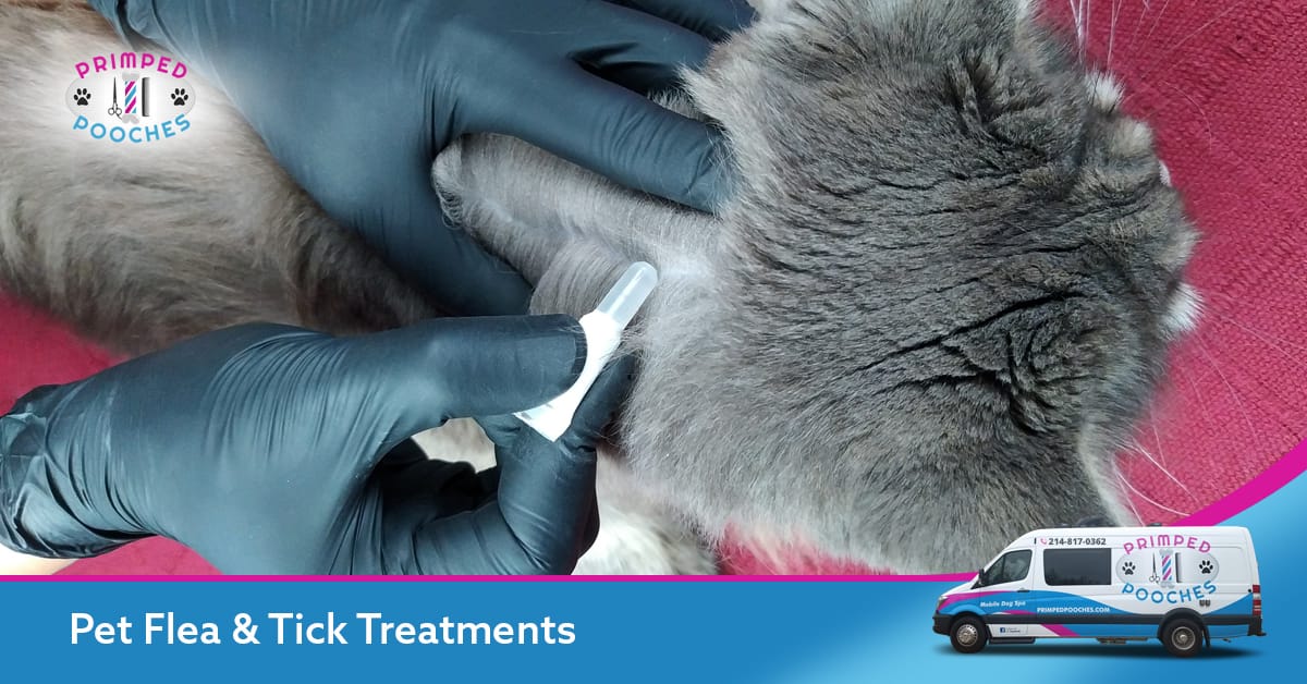 View of Best Mobile Pet Flea and Tick Treatments in North Texas - Primped ...