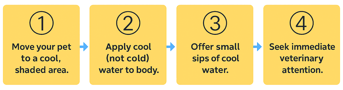 Emergency pet heatstroke recovery tips.