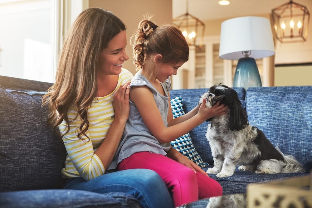 Why Mobile Dog Grooming and Mother’s Day Go Hand-in-Hand