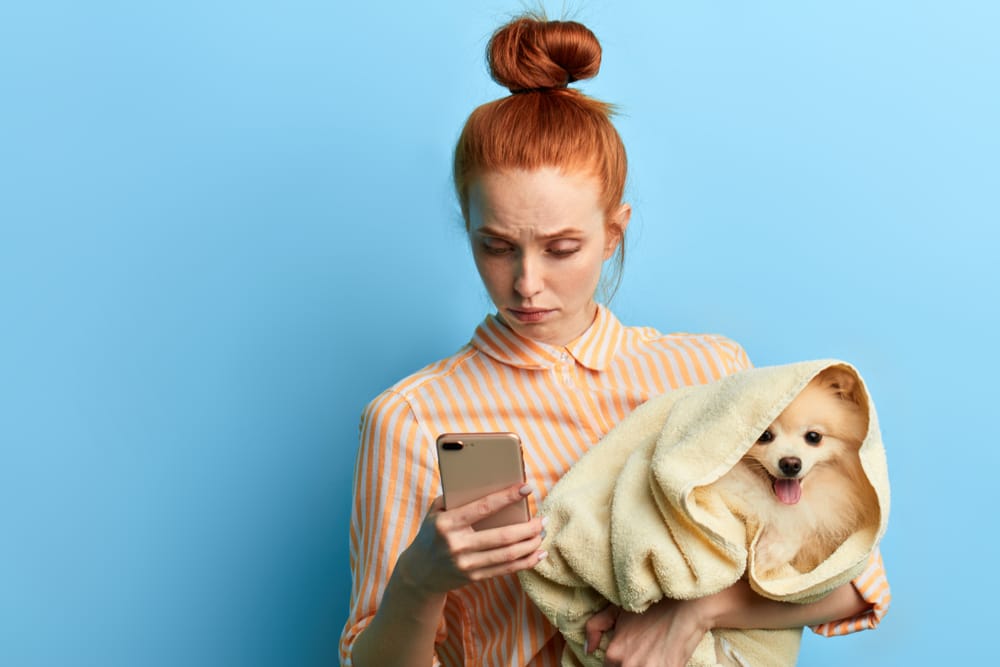Mobile pet grooming scheduling tips.